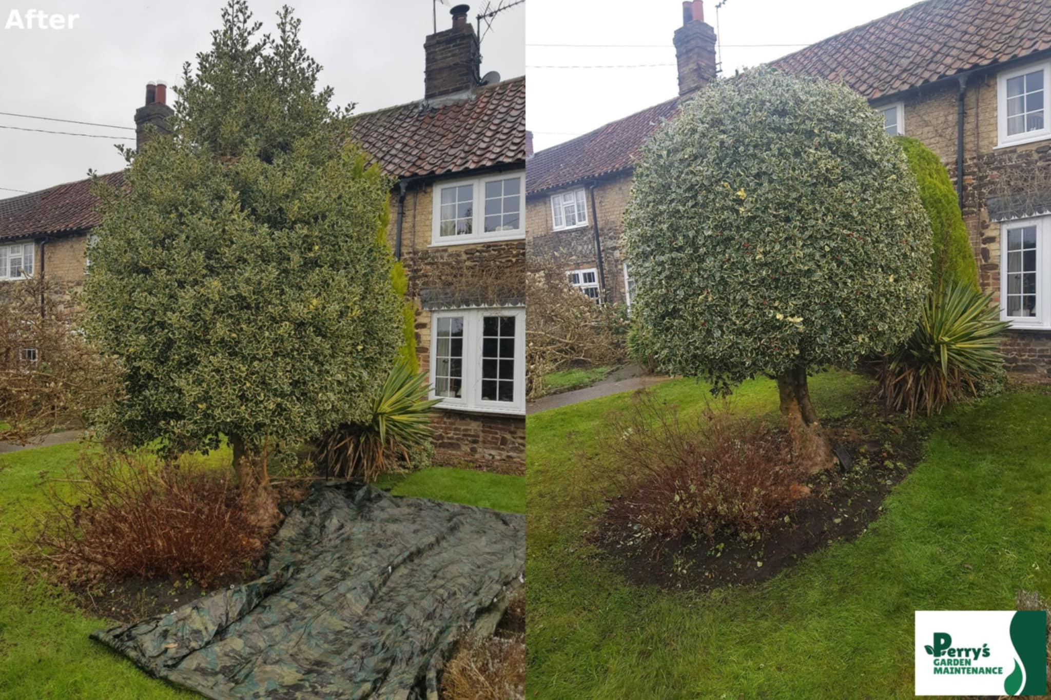 Hedge cutting & shaping