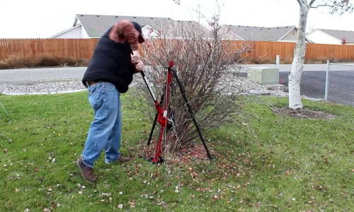Bush & shrub removal — image 2