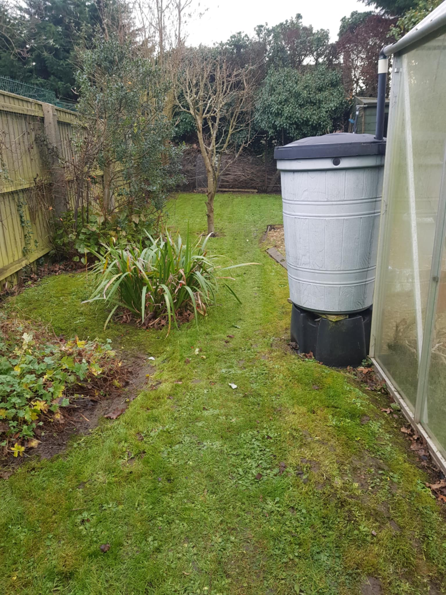 Grass cutting across Wisbech — image 3