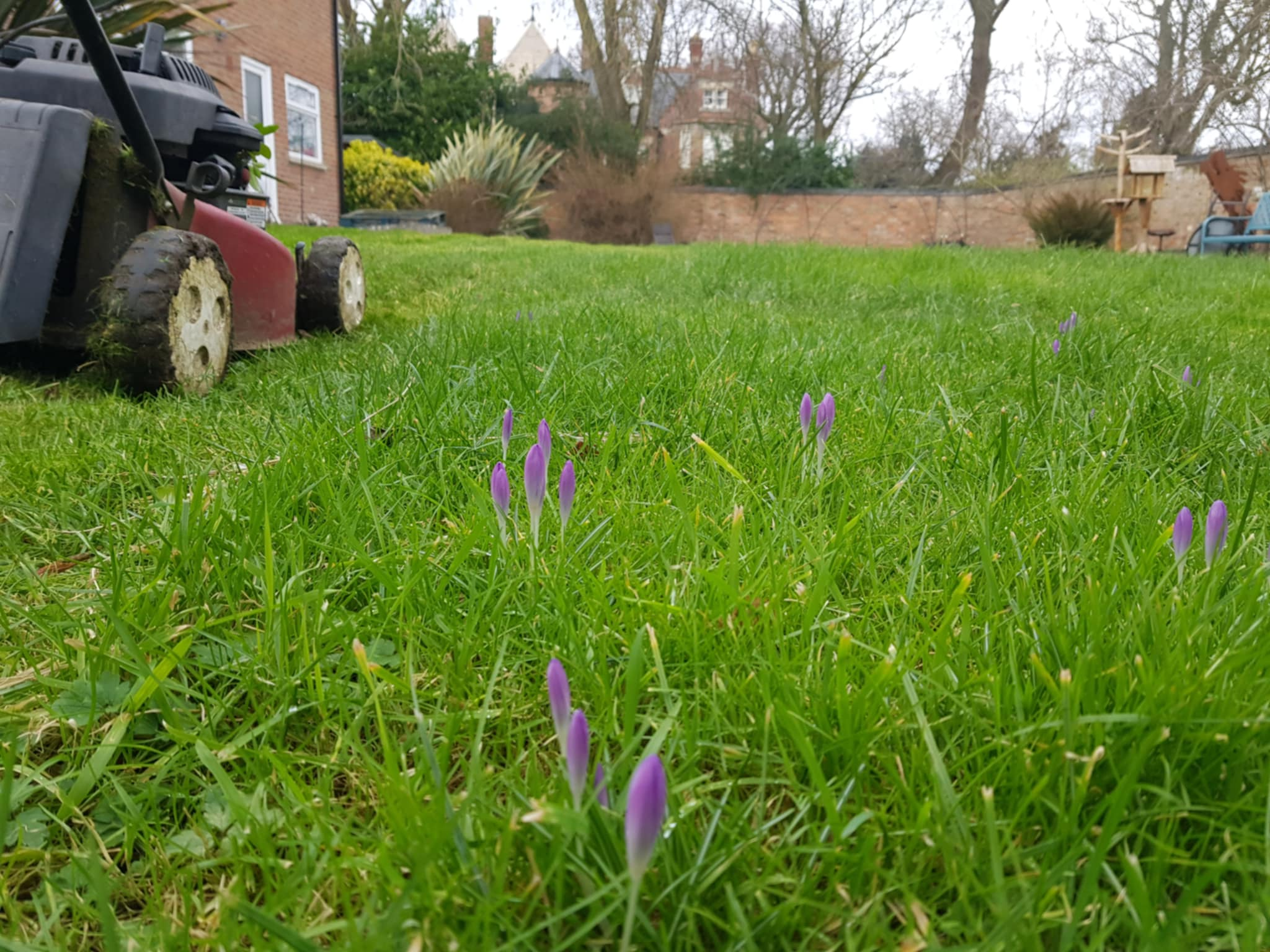 Grass cutting across Wisbech — image 2