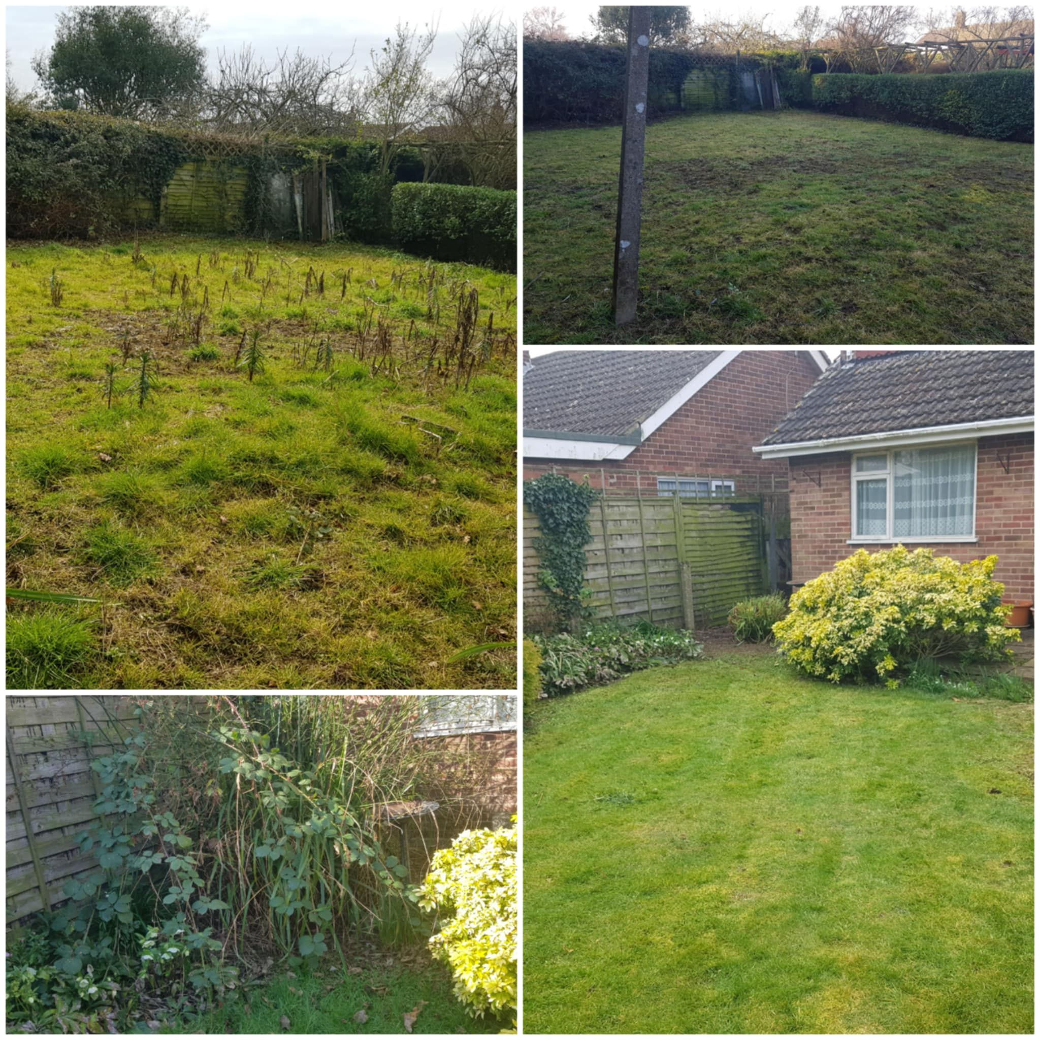 Grass cutting across Wisbech — image 5