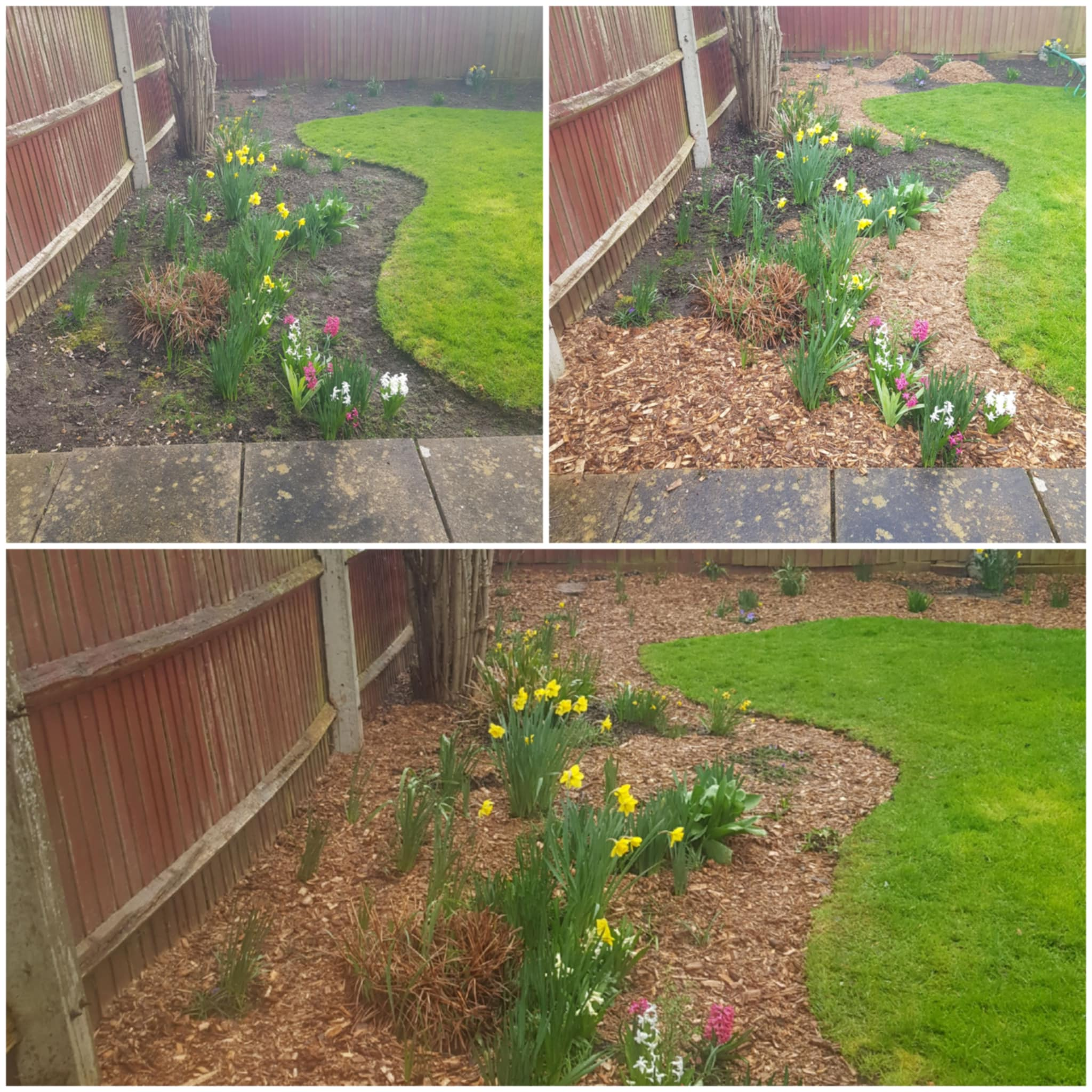 Weeding & bed clearance — image 2