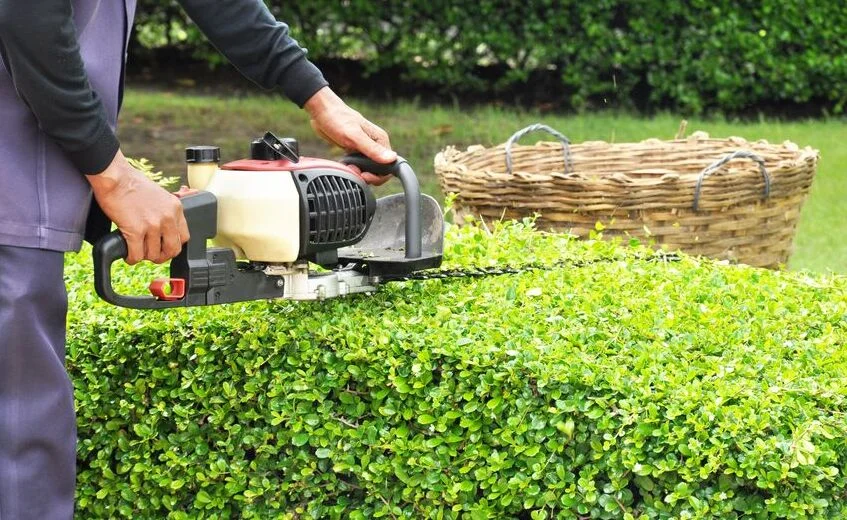 Hedge cutting